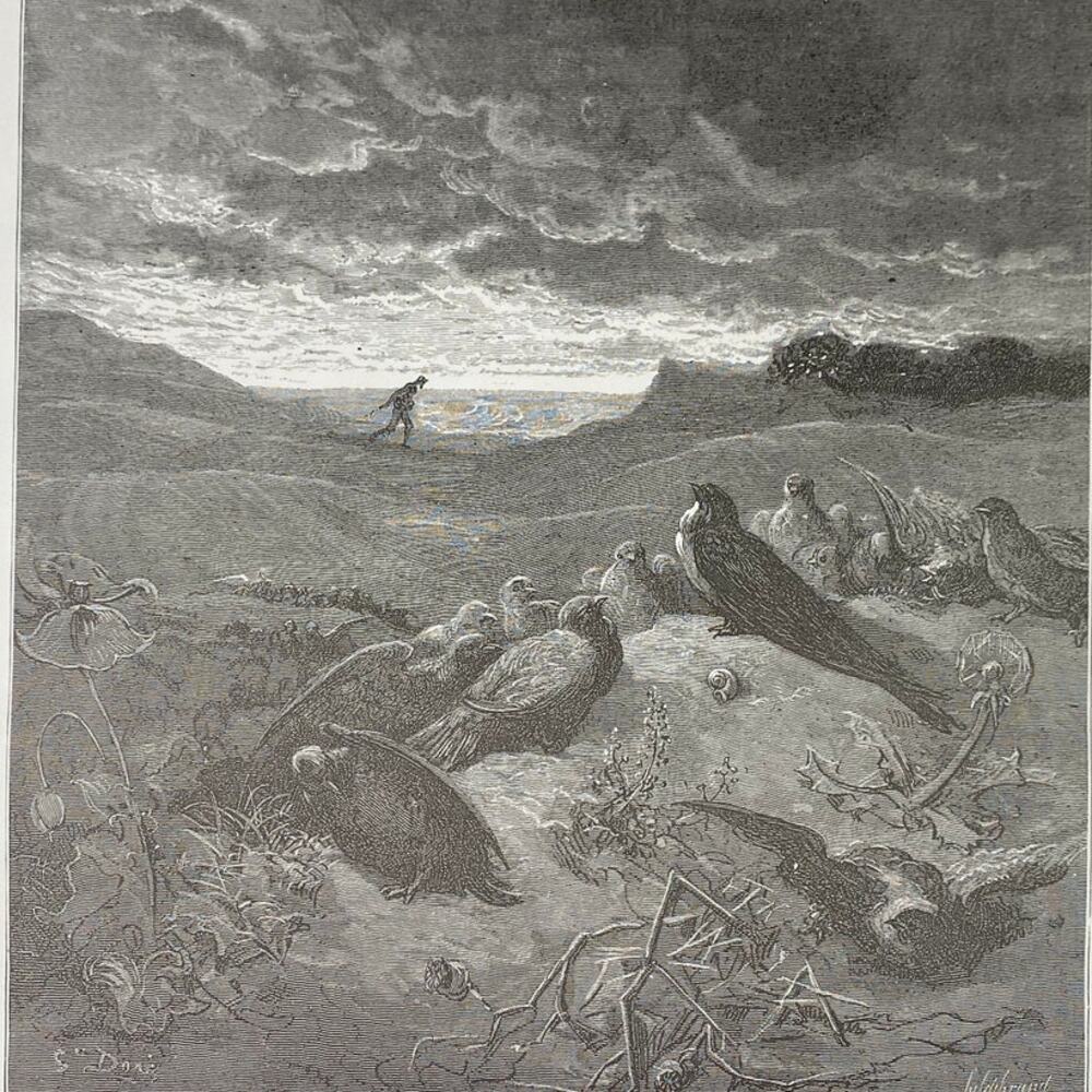 Gustave Dore, Fables, Swallow, City Rat, Country Rat, Bookplate, ~ 240706-WH 290